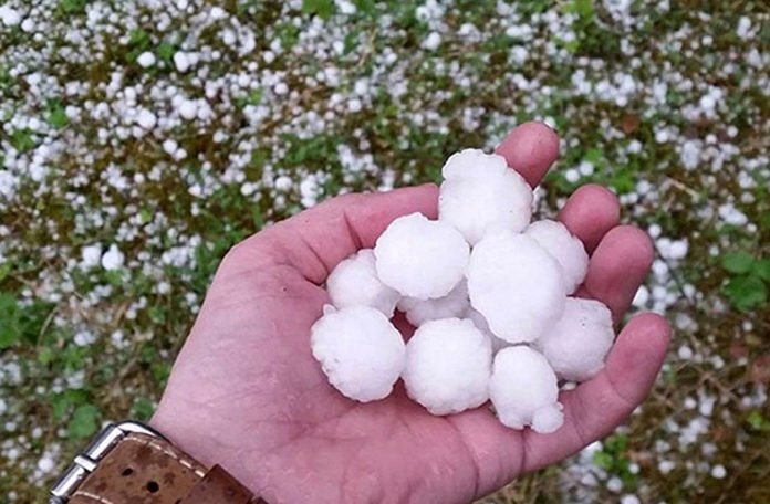 KRUPAN GRAD ZASUO NEKOLIKO OPŠTINA! Velika šteta na voćnjacima