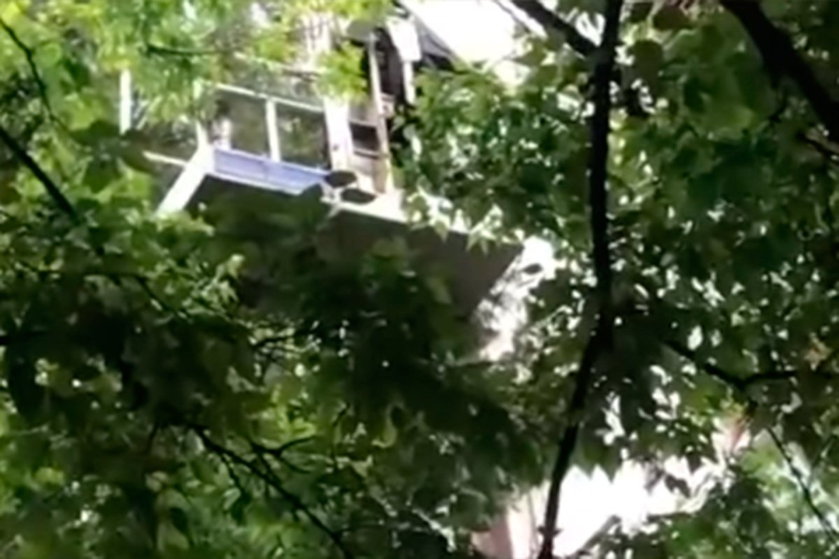 Banjalučki vatrogasci skidali mačku sa drveta (VIDEO)