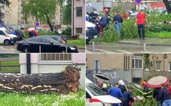 NEVRIJEME U TUZLI Drvo palo na ženu, spašavali je vatrogasci