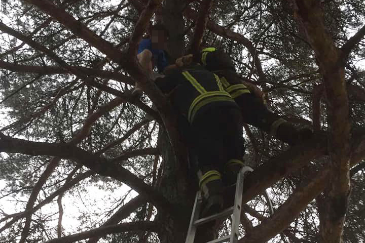 Nesvakidašnja akcija banjalučkih vatrogasaca: Spasli dječaka koji se popeo na drvo u školskom dvorištu