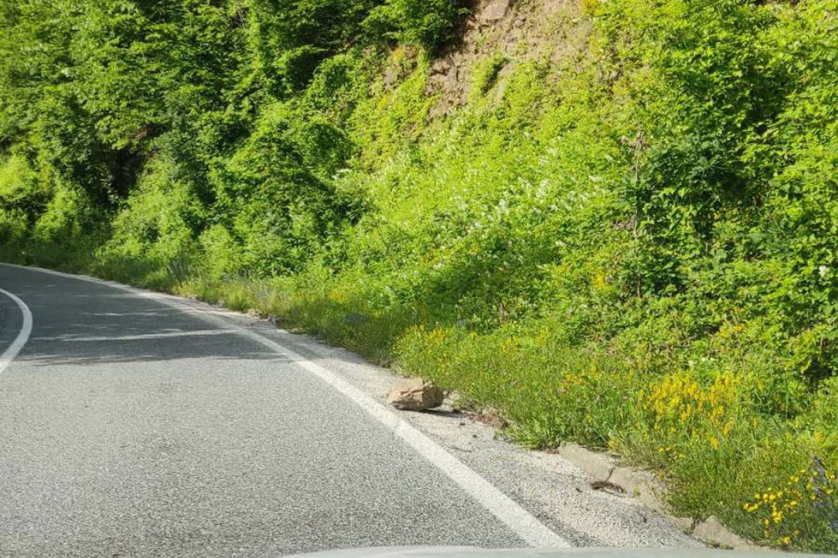 MG NAPLUĆUJE, ALI SLABO RADI Magistralni put Banjaluka – Teslić zarastao u šiblje