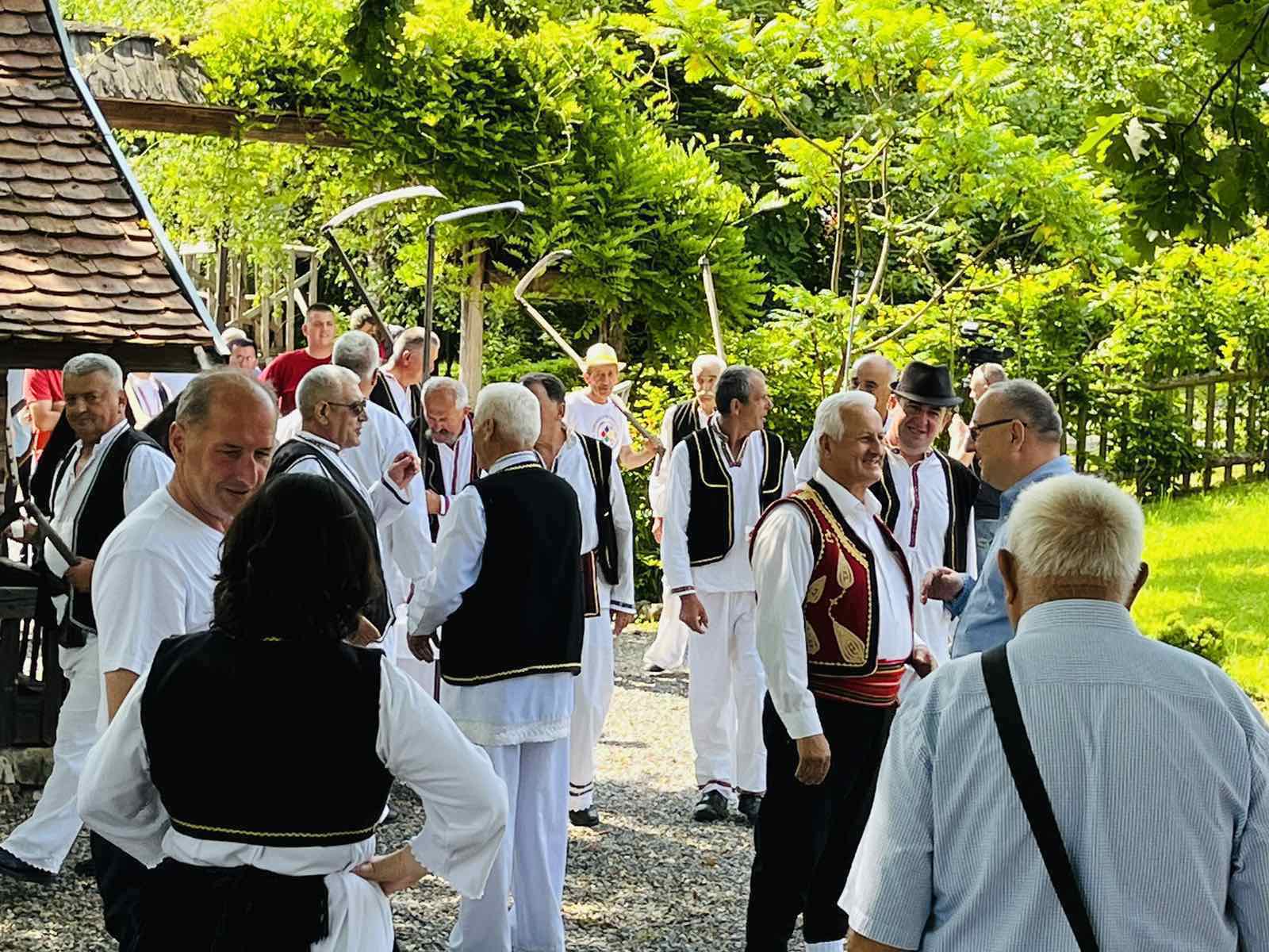 U Knežici oživljeni običaji ručne kosidbe