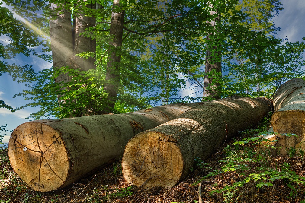 Potop u „Šumama Srpske“, prihodi pali za 20 miliona KM