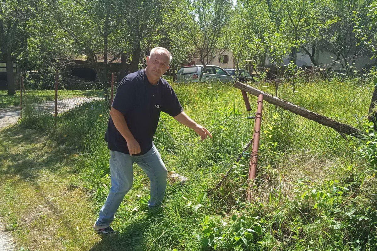 Medvjed razvalio ogradu, ušao u dvorište i počastio se medom