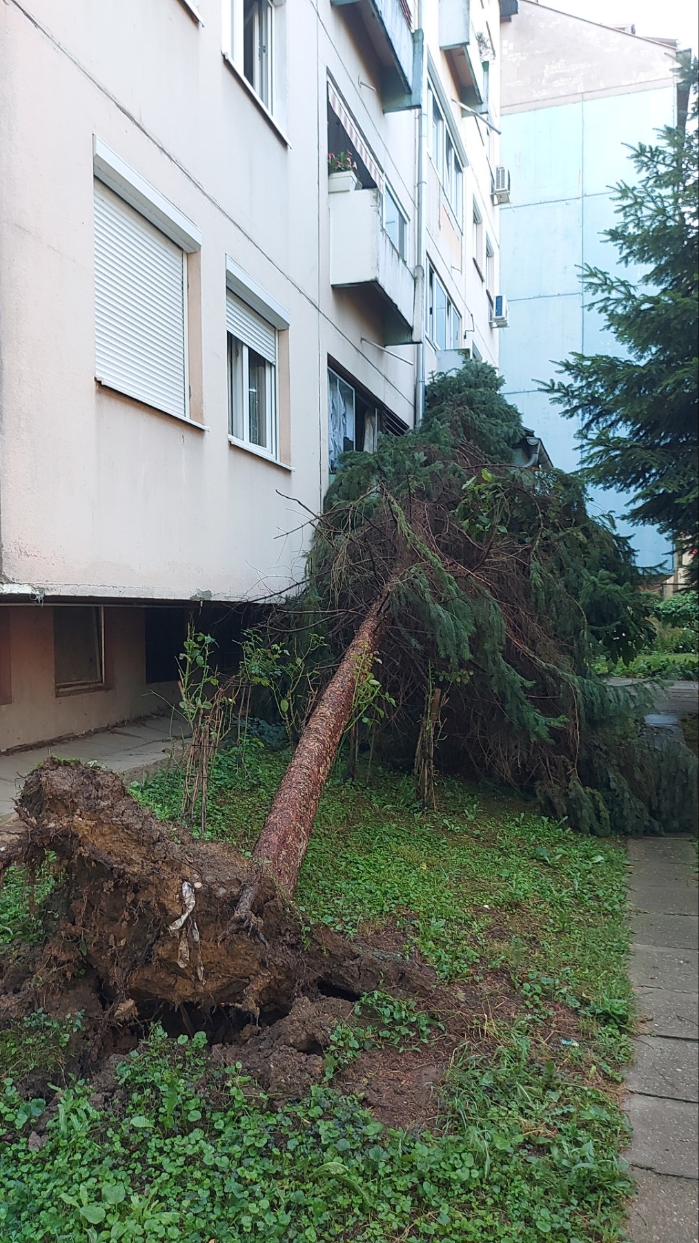 PREKO 10 INTERVENCIJA U DANU Nevrijeme donijelo pune ruke posla za vatrogasce (FOTO)