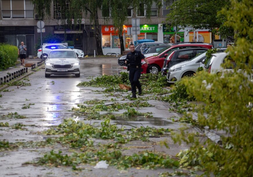 Oluja u Zagrebu, vjetar čupao drveće (VIDEO)