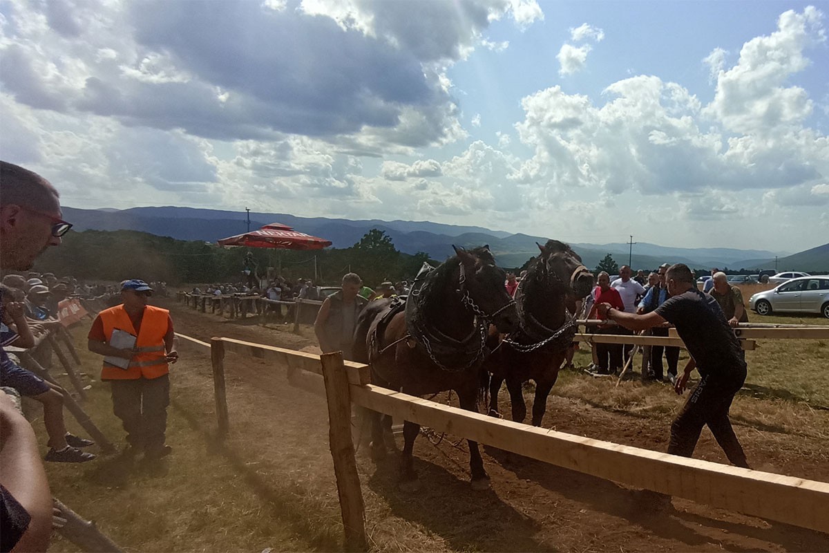 Potegli iz Amerike na štraparijadu kod Drvara