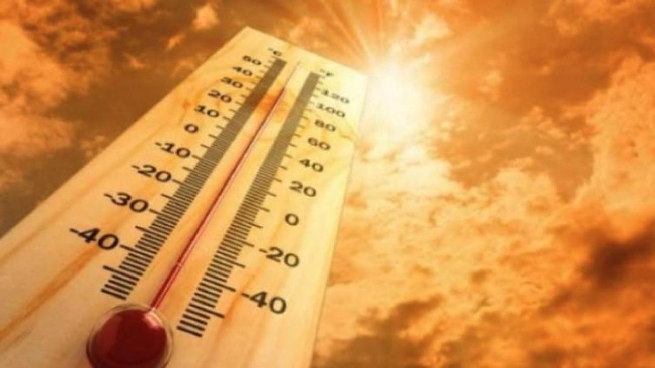 ŽIVA SKAČE NA 42 STEPENA Upozorenje zbog visoke temperature!