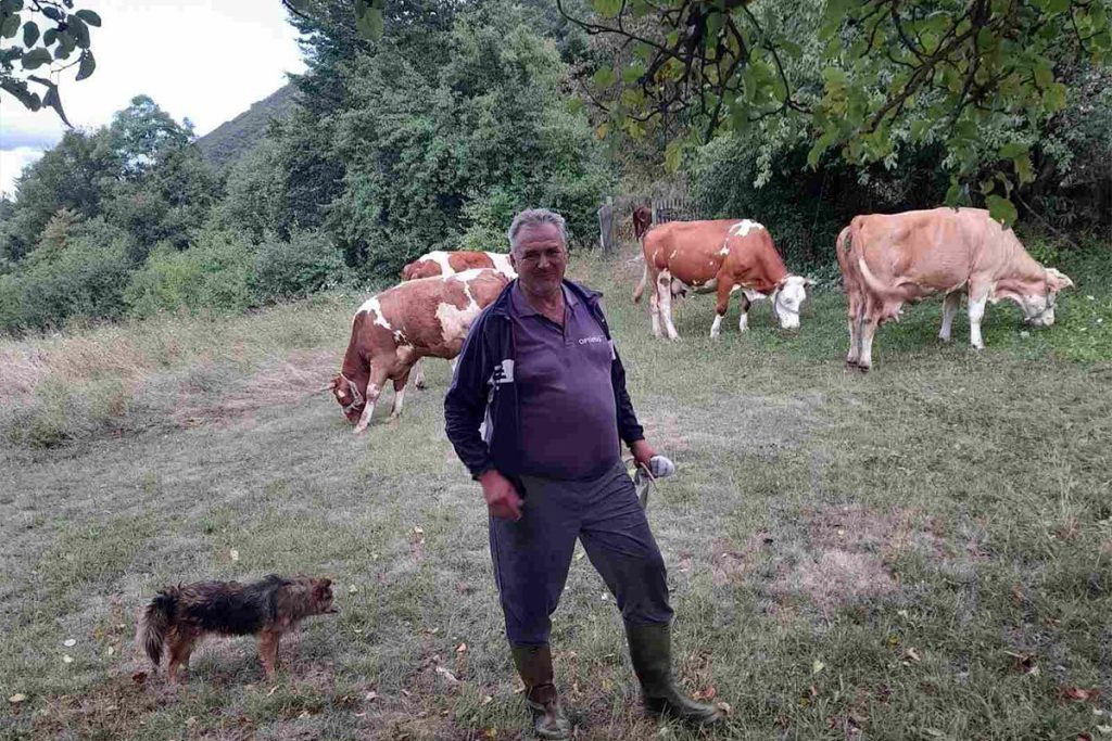 Domaćin iz Drvara pomoću Google-a locira krave poslije ispaše: “Omane za koji metar”