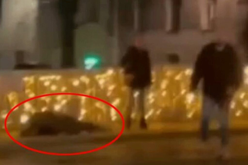 (VIDEO) Snimak užasa u Sarajevu: Tuče djevojku pa prolaznika koji je pokušao da pomogne