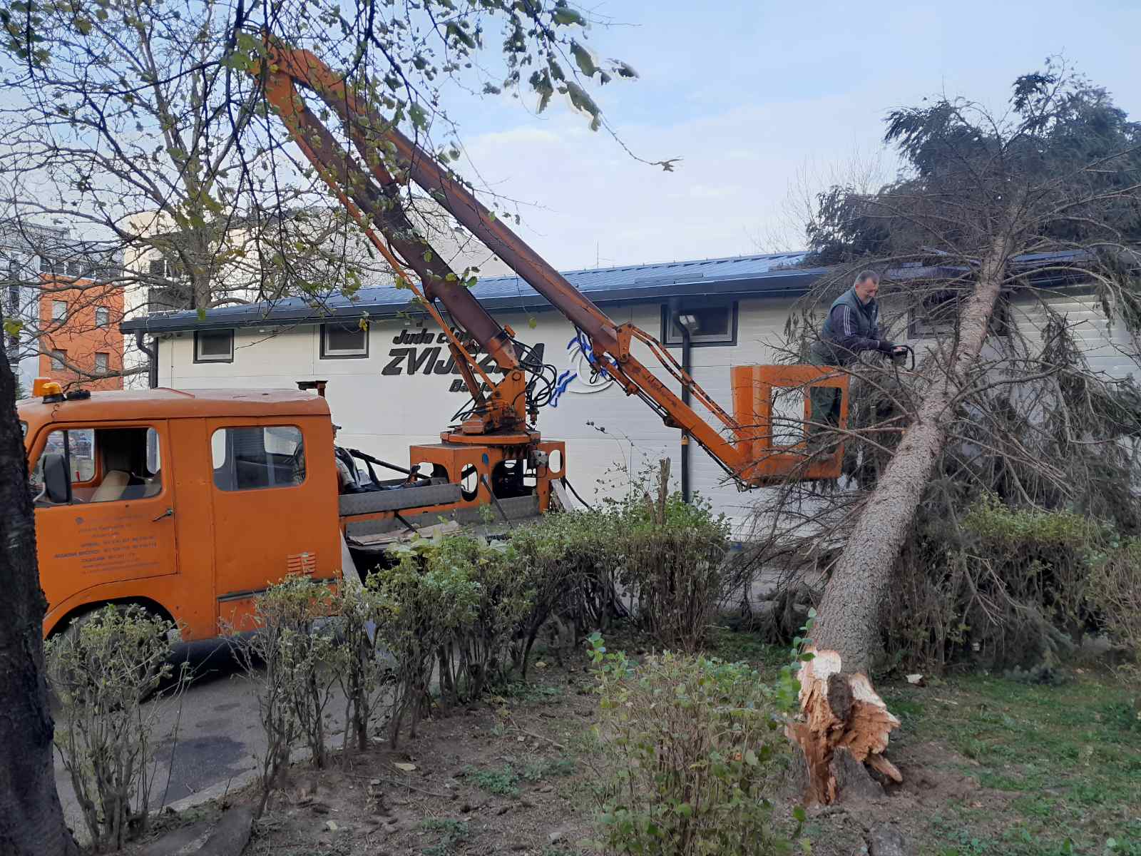 POSLJEDICE JAKOG VJETRA Nadležne službe od sinoć uklanjaju oštećena stabla