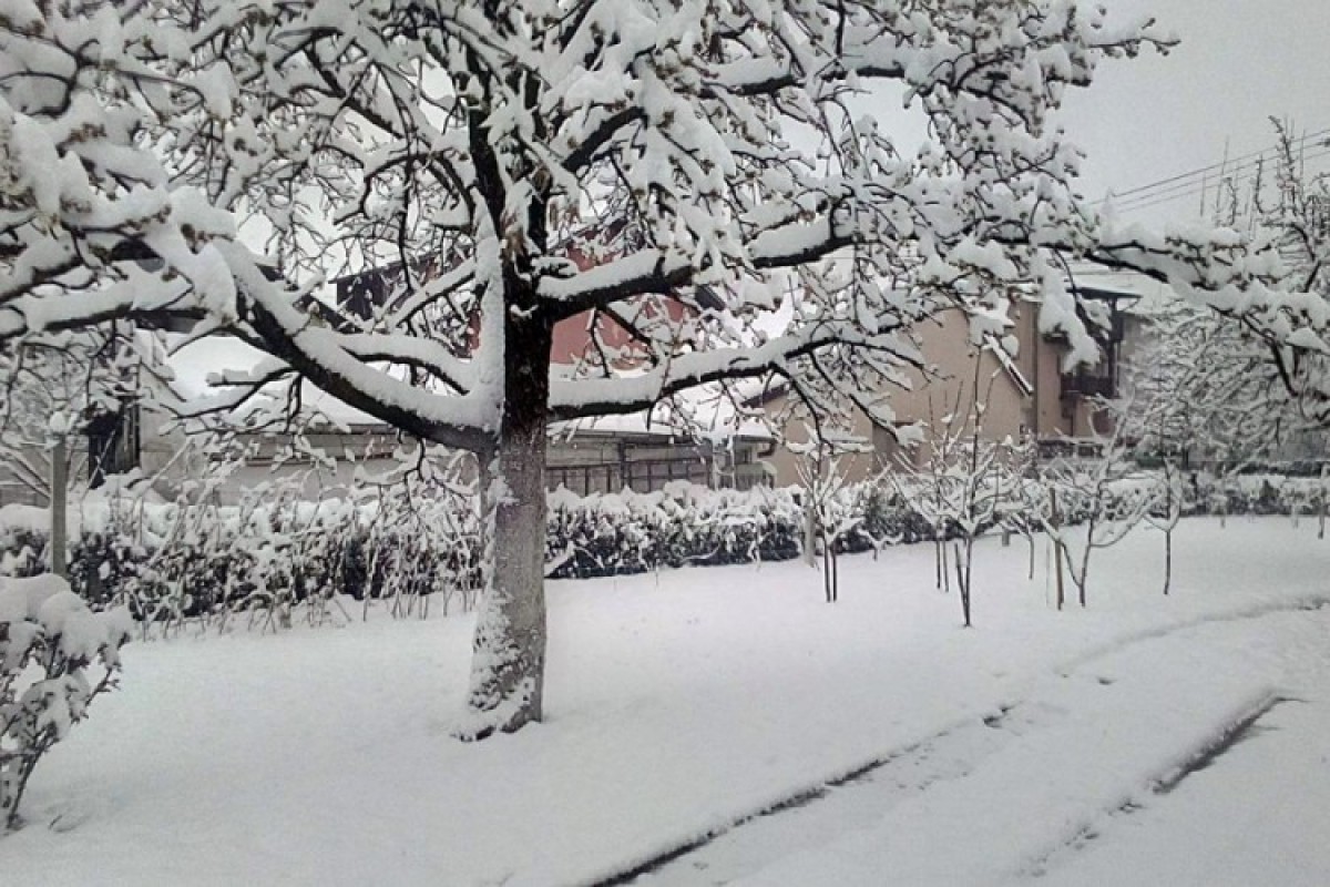 Crveni meteo alarm u Hrvatskoj zbog snijega i olujnog vjetra