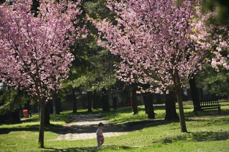 BEZ IZNENAĐENJA Objavljena dugoročna vremenska prognoza