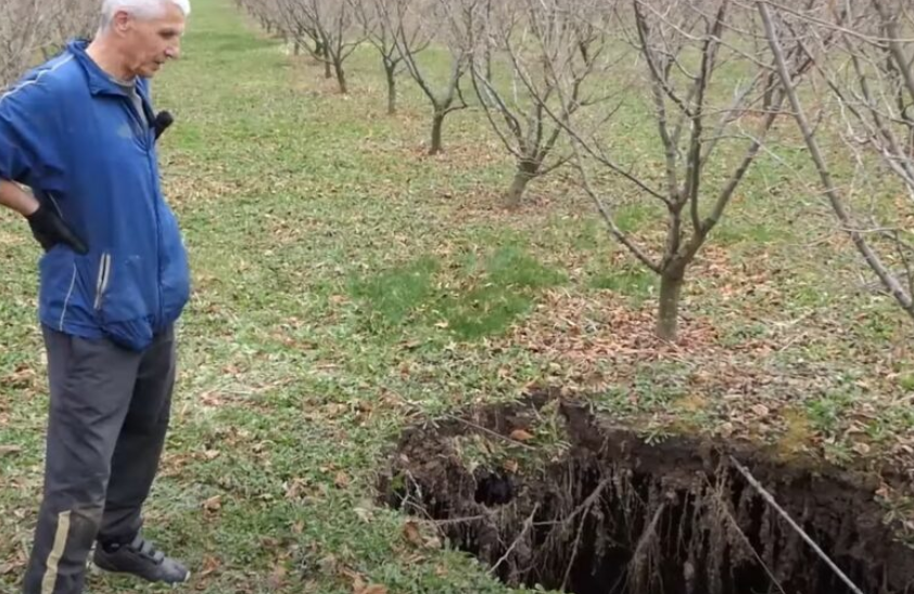 MISTERIJA Na plantaži u BiH se stvorila velika rupa, niko ne zna koliko je duboka (VIDEO)