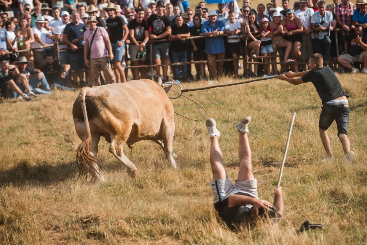 Čavićeva fotografija u užem izboru za najbolju u jugoistočnoj Evropi