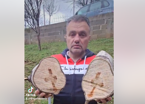 Pojava koja nikoga nije ostavila RAVNODUŠNIM: Bošku sa Manjače se UKAZAO KRST kada je presjekao drvo (VIDEO)
