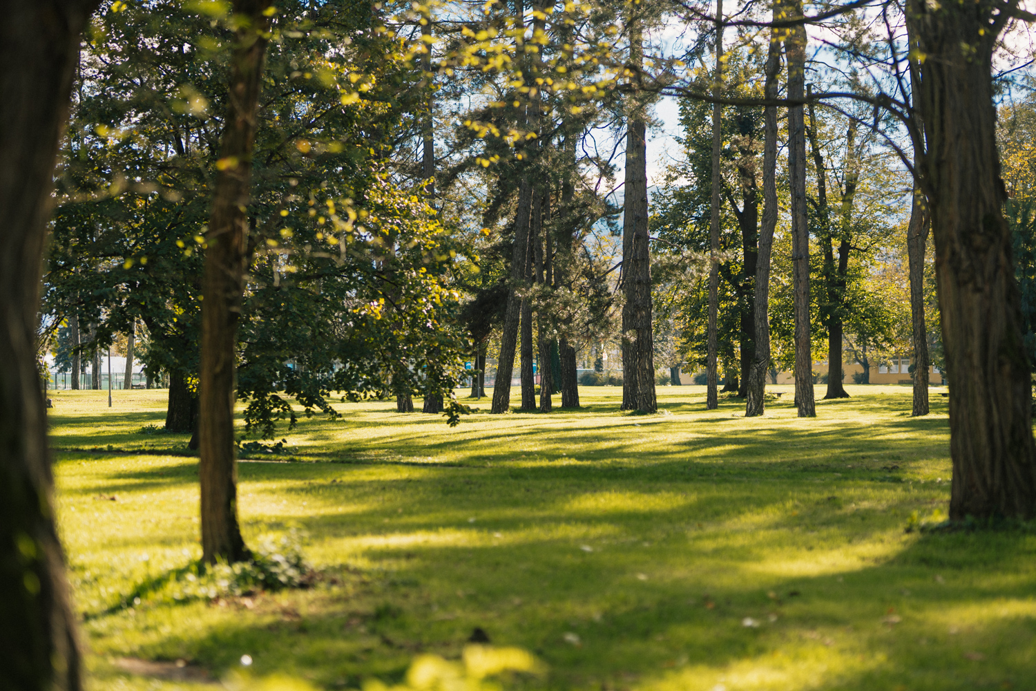 “20 GODINA NISTE BRINULI O ZELENILU” Iz PDP poručili da SNSD nije napravio nijedan park u Banjaluci