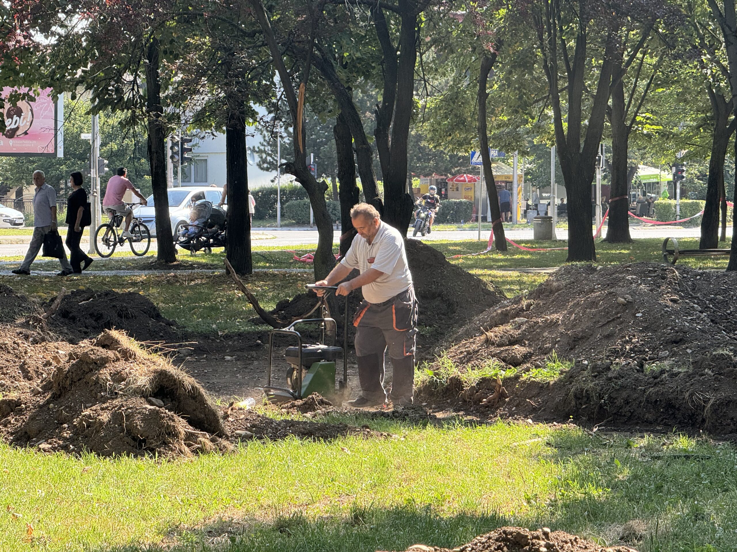 Kapović Solomun: Rekonstrukcijom parka uništavaju drveća