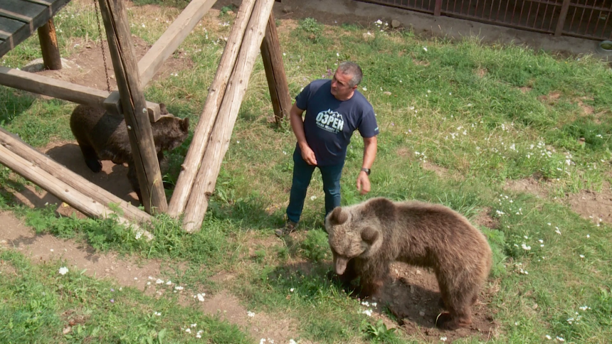 Medvjedice Maša i Ljubica pronašle dom u Doboju