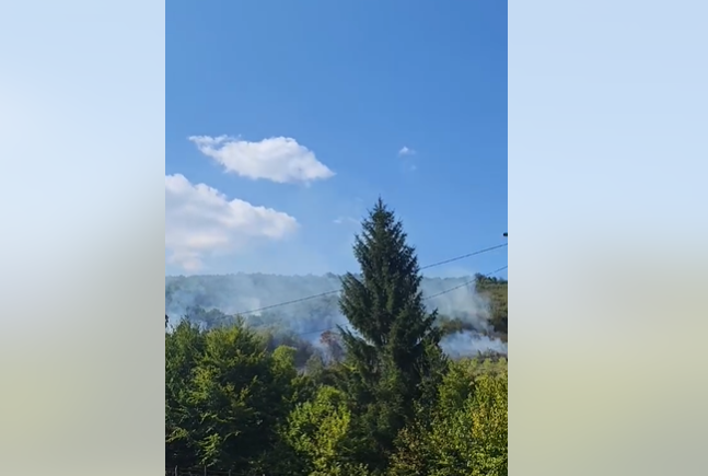 Teren poprilično nepristupačan: Izbio POŽAR NA MANJAČI, gusti dim se nadvio nad zaseokom