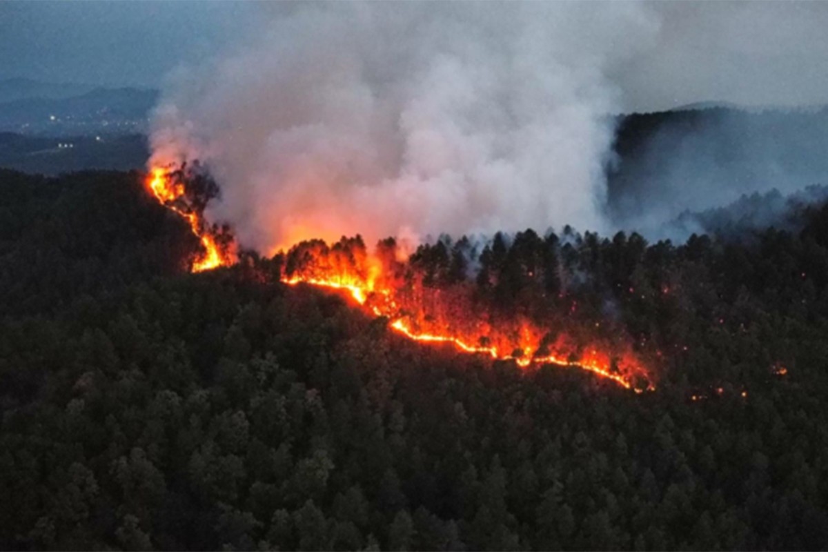 Gori šuma na miniranom području u BiH