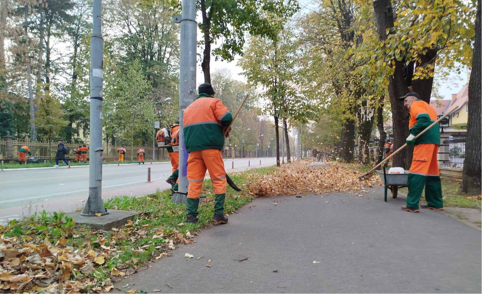 Intenzivirano prikupljanje lišća sa javnih površina