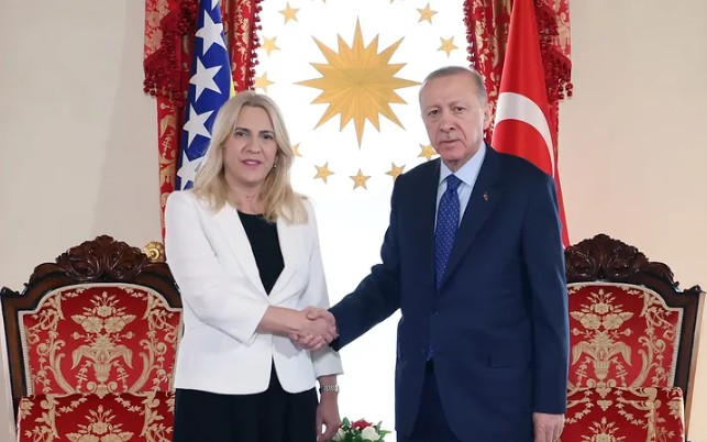 Cvijanovićeva se sastala sa predsjednikom Turske, gvorila o krizi u BIH