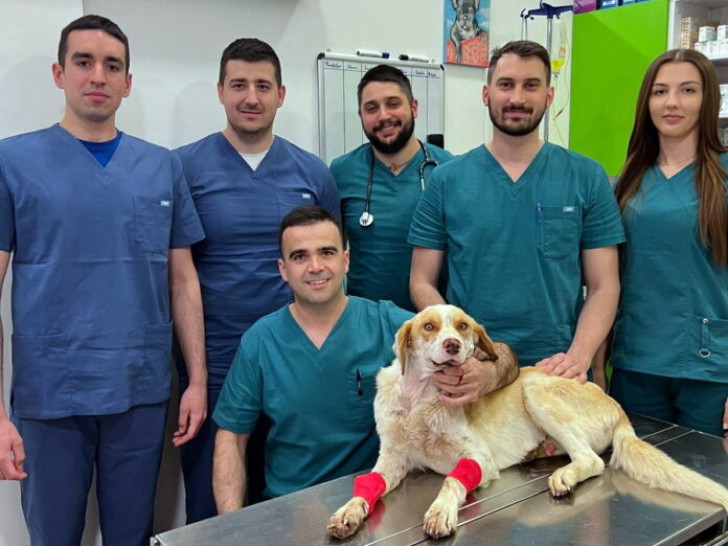 HEROJSKI TIM IZ PRIJEDORA! Spasili psa koji je upucan u glavu