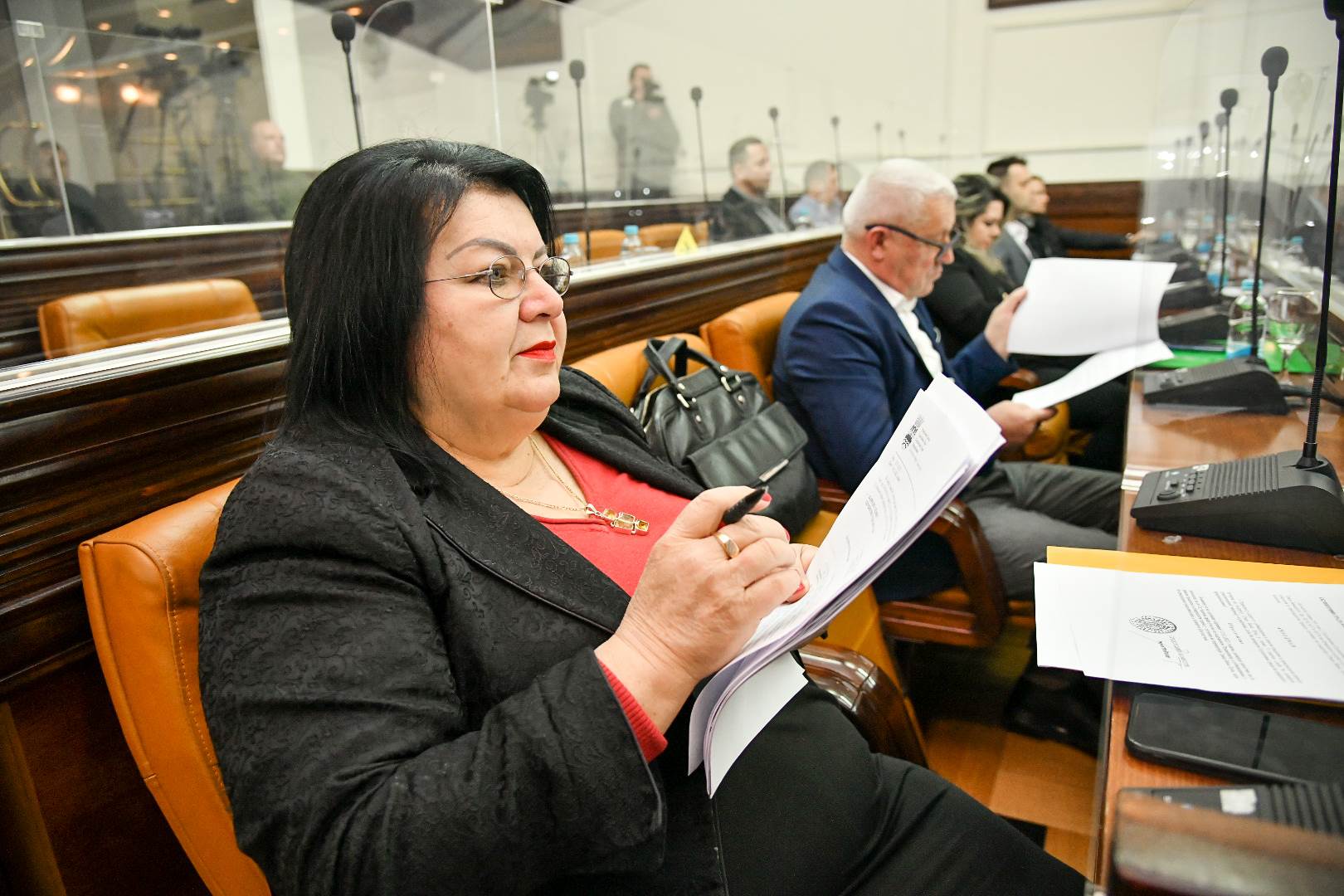 Smiljana Babić Moravac “Šta znači brezova metla Vlade Đajića”