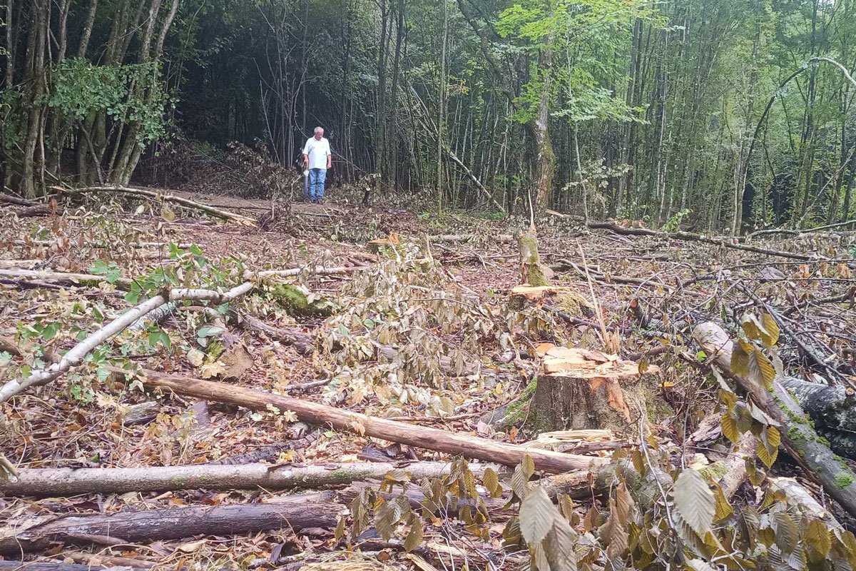 Optuženi da su malverzacijama u ŠG “Borja” napravili milionsku štetu