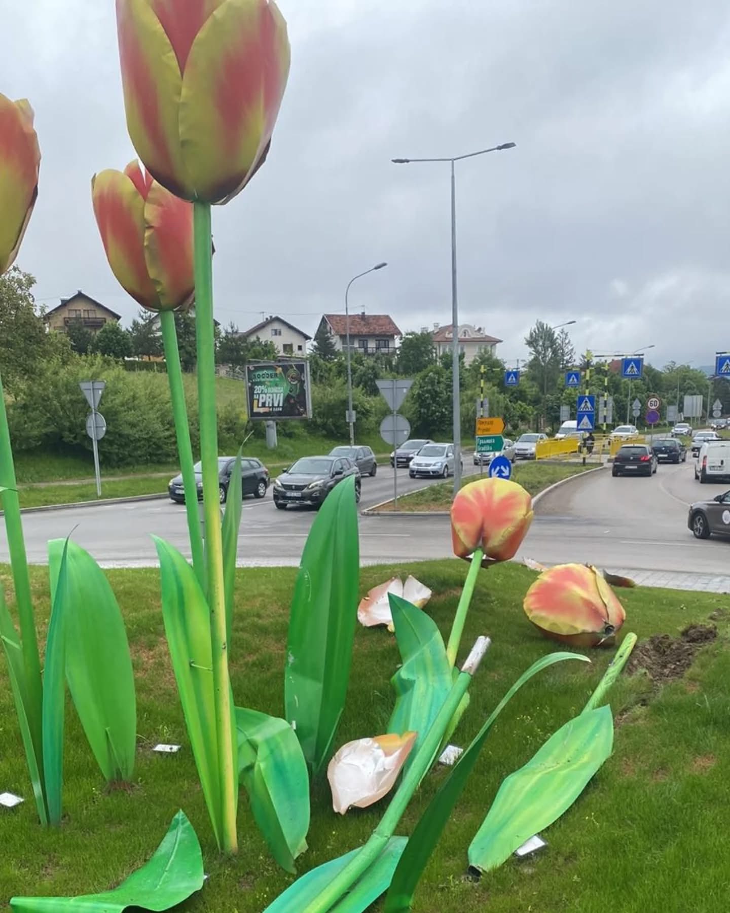 Između uništenih tulipana OSTALA TABLICA: Vozač u pola noći “skočio” na kružni tok i uništio instalaciju