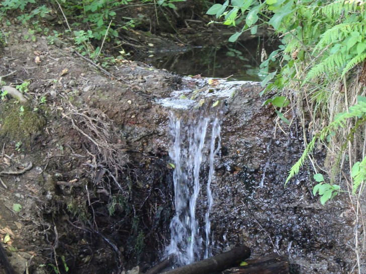 Presušile rijeke u Potkozarju, stočari u strahu