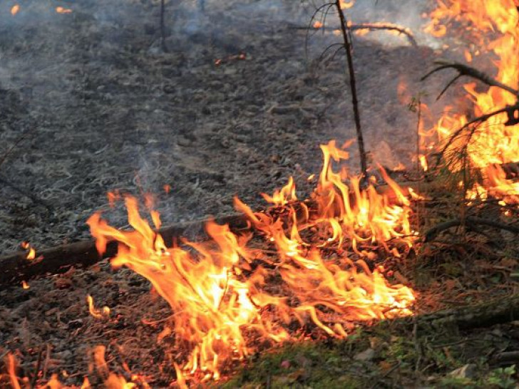 Požar u Hercegovini zaprijetio kućama