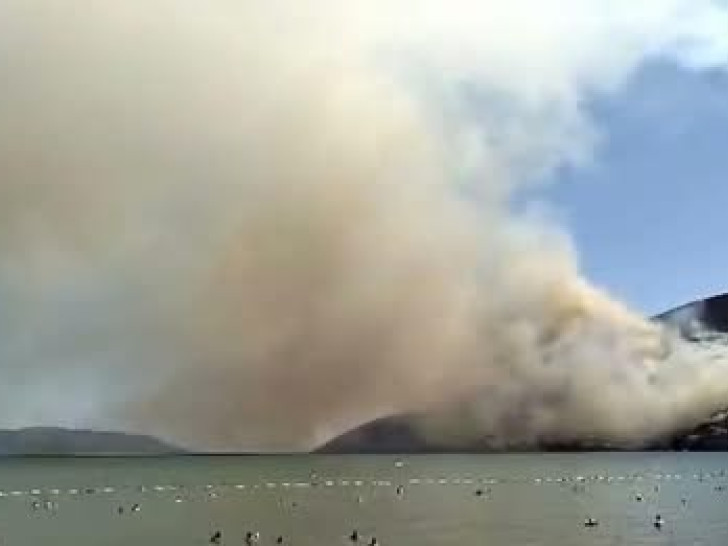 Veliki požar kod Herceg Novog, vatra blizu kuća