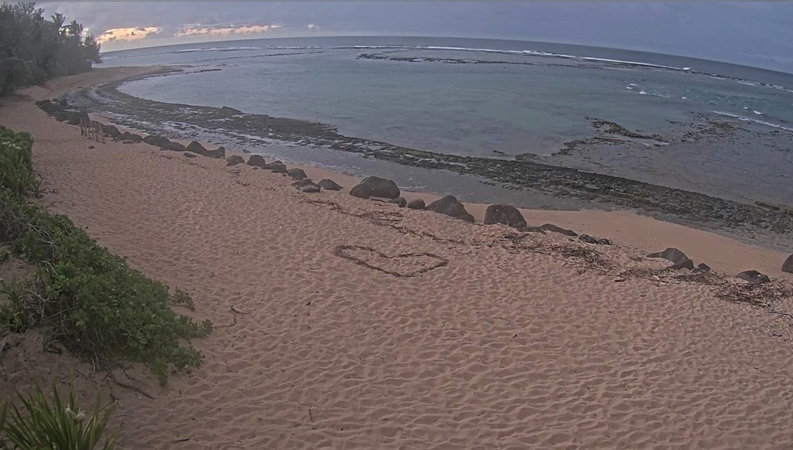 Pogledajte šta se desilo sa okeanom na Havajima prije udara cunamija