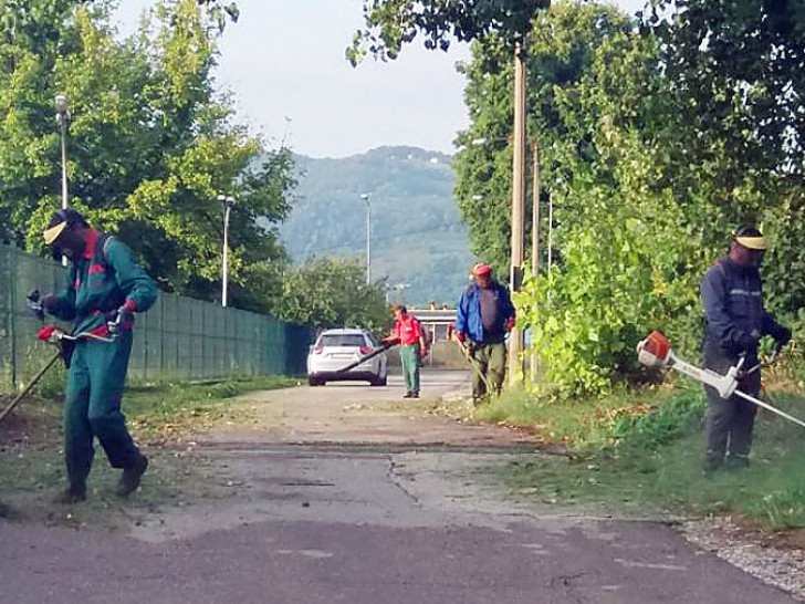 Nastavljeno košenje i uklanjanje suvih stabala u Banjaluci