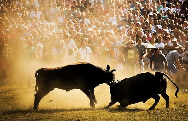 Šezdeseti “Kočićev zbor” od 27. do 31. avgusta