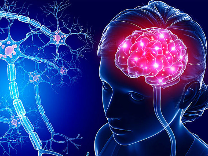 Rusi otkrili ”hemijski koktel” protiv starenja mozga