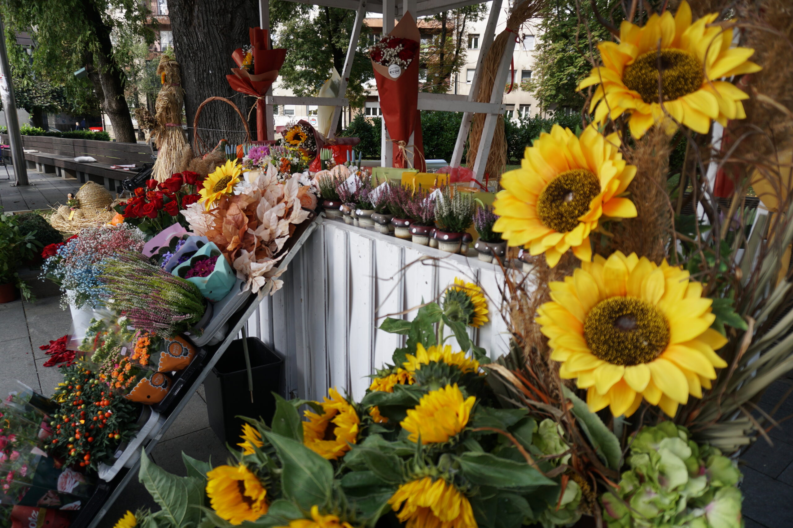 Sutra otvaranje Jesenjeg festivala plodova, meda i cvijeća