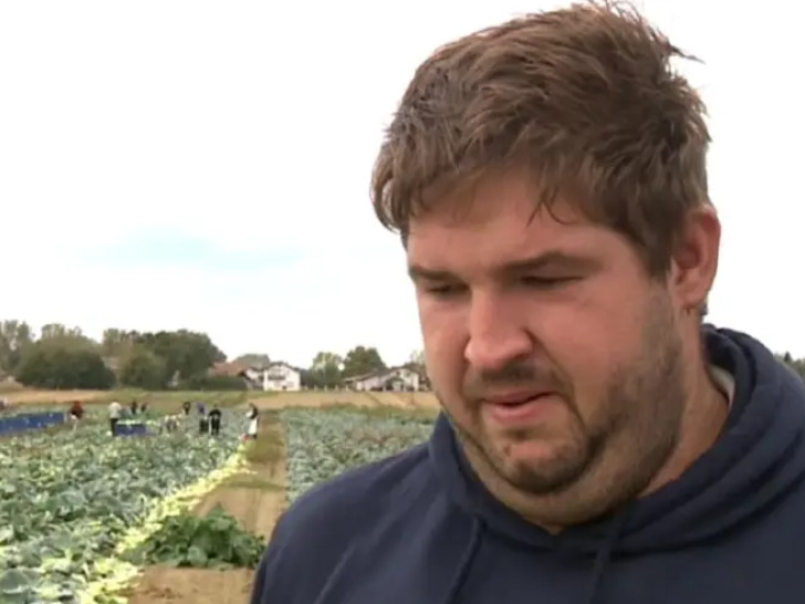 Mladom rataru lopovi tokom noći ukrali pet tona paprika