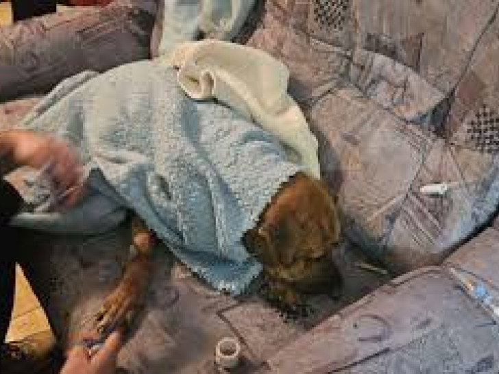 Akcija “Sambo”: Na slobodi sedam osumnjičenih