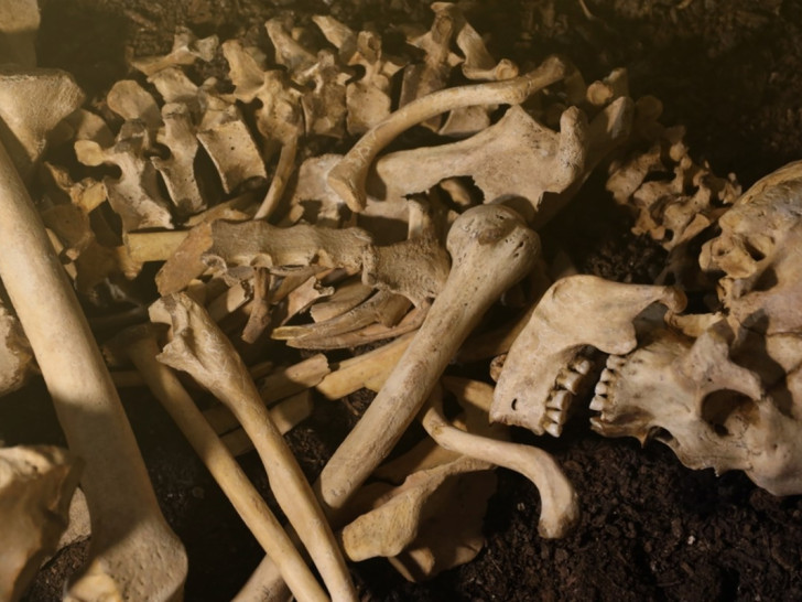 Jezivo otkriće ispod bolnice, proađene kosti 10.000 pacijenata