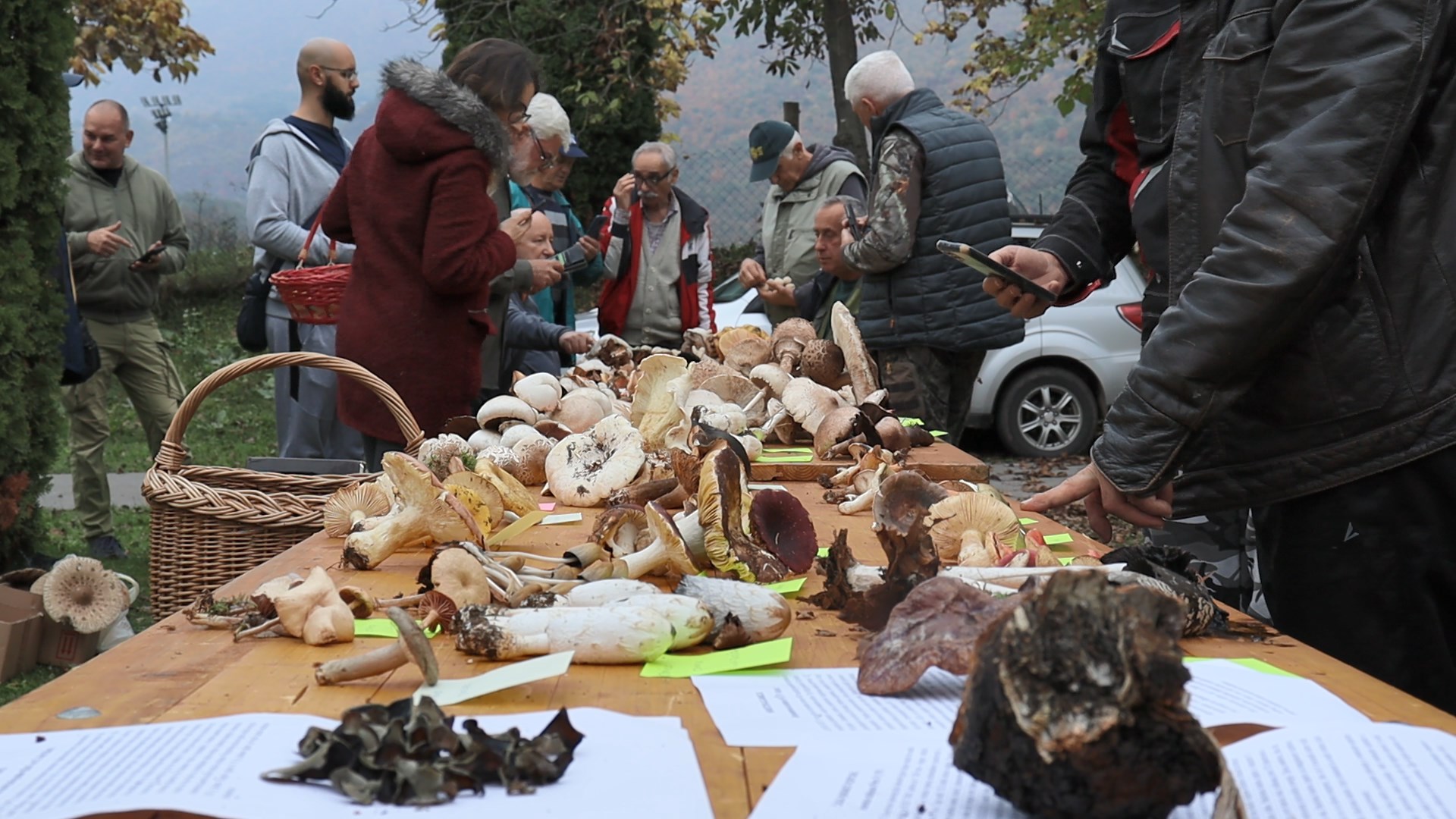 Krupa na Vrbasu: Prvi sajam posvećen gljivarstvu u potpunosti uspio