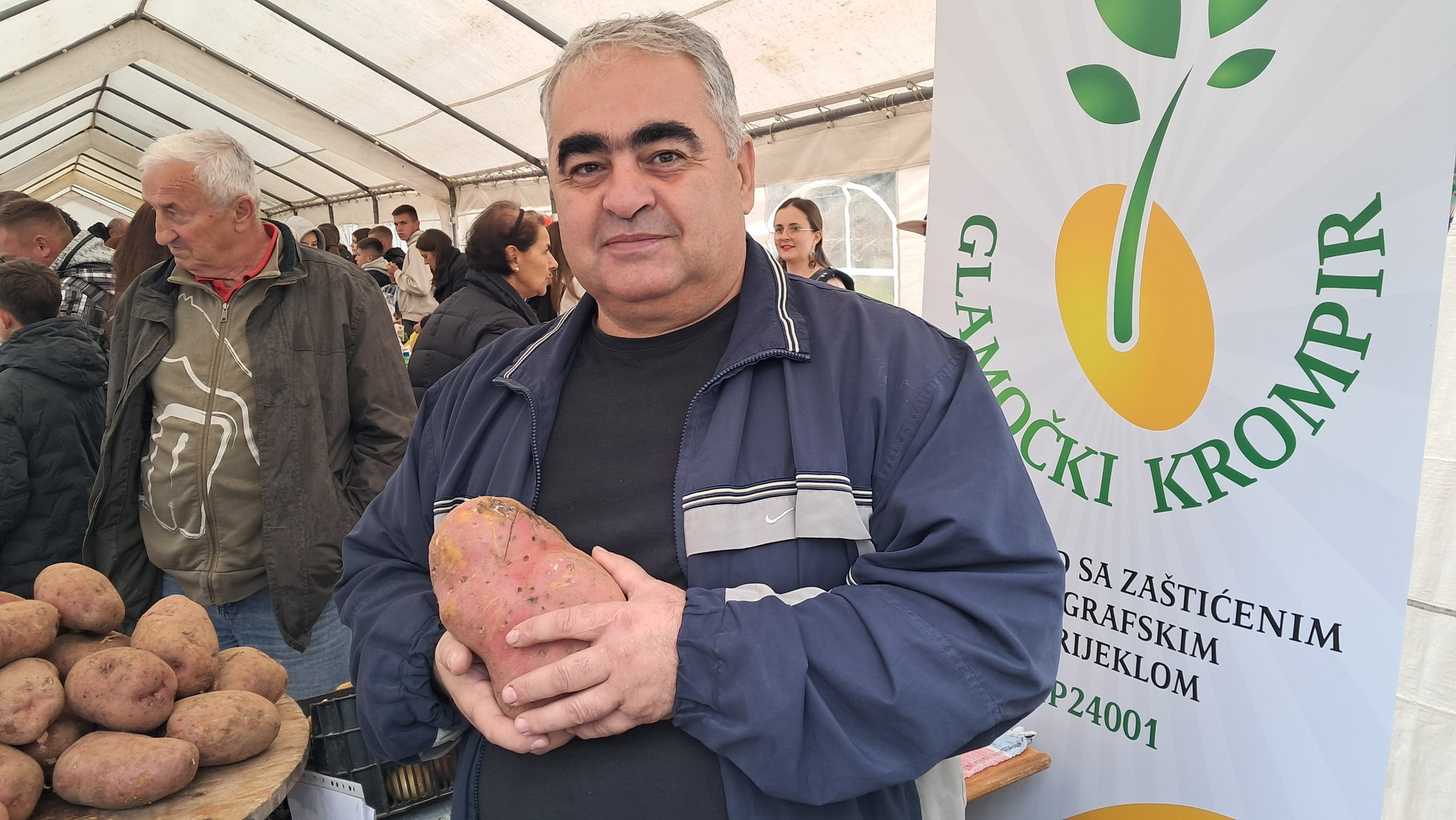 Glamoč: Krompir je ove godine odlično rodio! (FOTO, VIDEO)