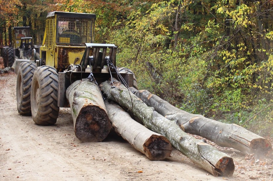 Kaurin: “Šume Srpske” smanjuju minus