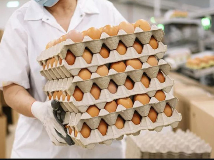 Novi udar na kućni budžet: Poskupljuju jaja