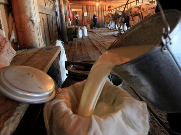 Farmeri iz Srpske uz kolege iz FBiH: Uvoz i lažni sirevi guše domaću proizvodnju