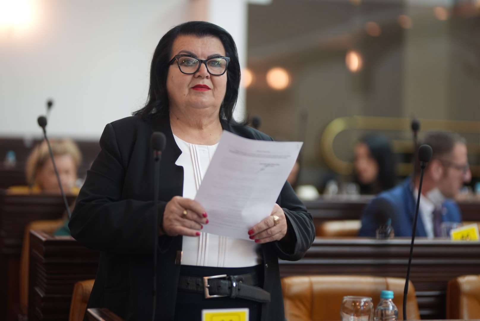 Moravac-Babić: Čime se bavi Ljubo Ninković i zašto ne zakazuje sjednice?