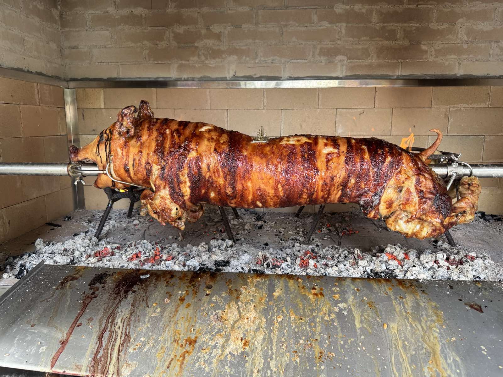 Praznici su na pragu: Kakve su cijene prasadi i jagnjadi