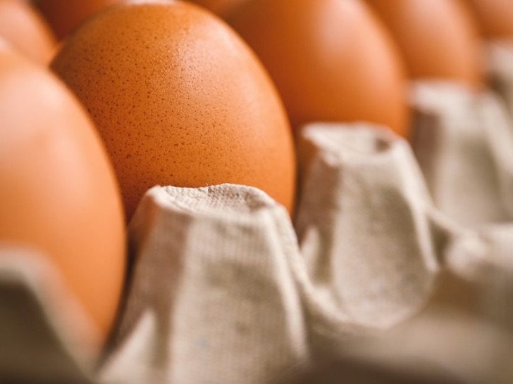Biljna jaja na tržištu: Mogu li zamijeniti kokošija